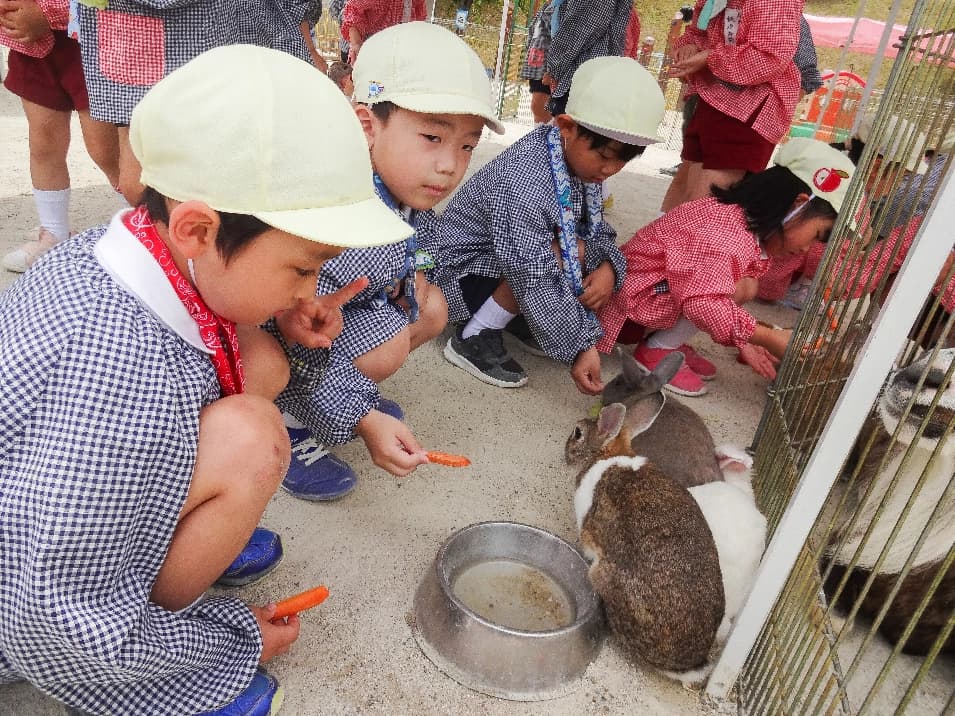うさぎの世話をする園児たち